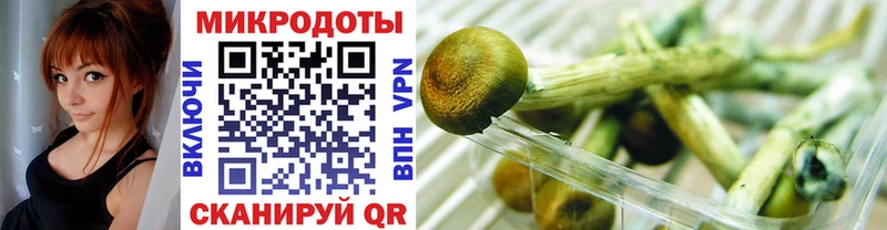 Галлюциногенные грибы мухоморы  где купить наркоту  Кстово 